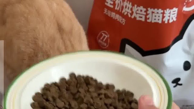 科普！看懂这两个字避开80%劣质猫粮