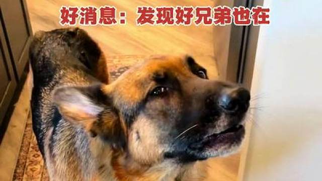 ：“你好，我被战友出卖了”