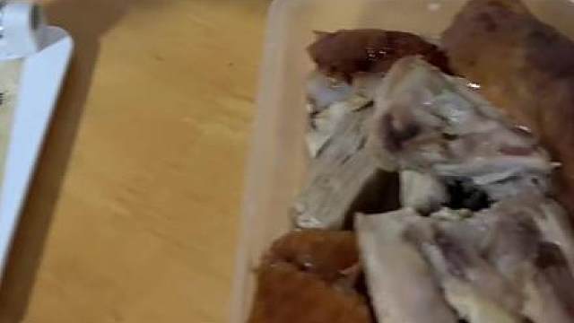 上海天使猫爷·流浪猫救助，尽心呵护上海街头毛孩子