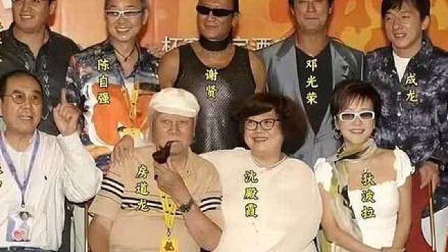 这张照片拍摄于2004年，是香港传奇组织银色鼠队和成龙一家的合影。在20世纪70年代到90年代的香港，这个名字代表着顶级资源与难以撼动的江湖地位。他们效仿好莱坞的明星圈，七人正式结拜为异姓兄弟姐妹，在复杂的娱乐圈中互相扶持。无论是电影、电视还是音乐，都有他们的人脉和资源。而最让人称道的，就是一人有难，六人支援的义气。就连七妹肥肥在面临丈夫出轨的无助时，六哥邓光荣却敢只身一人前往台湾谈判。他们用才华