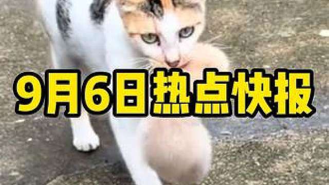 今日热点信息快报