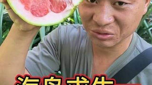 海岛求生一 登岛巡山找水果，钻木取火螃蟹肥