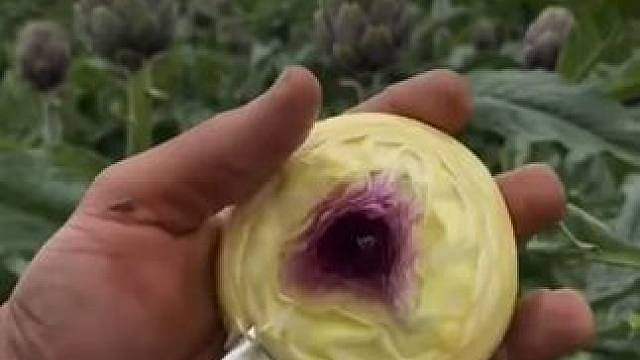 这玩意老祖宗没带回来，是有道理的