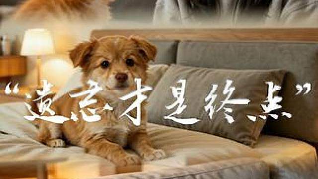 不必刻意遗忘，它并未走远