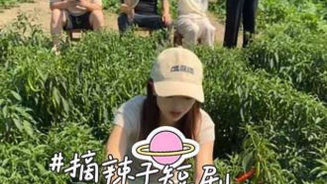 “跑男”跑之前 熬夜花费了几个小时做的短剧，姐妹们给点评一下，等会快来给家里囤辣子面了，10点辣椒地里不见不散哦