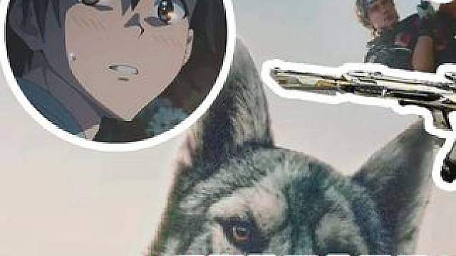 评价新刀重塑比肩北极星三段数值夯运气爆棚图灵砖还抽出隐藏挂饰