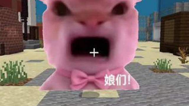 今天我们挑战一百个娘们