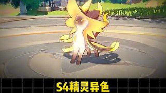 异色暹罗猫真是太可爱了！
