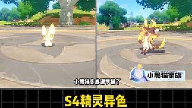 小黑猫变成暹罗猫了