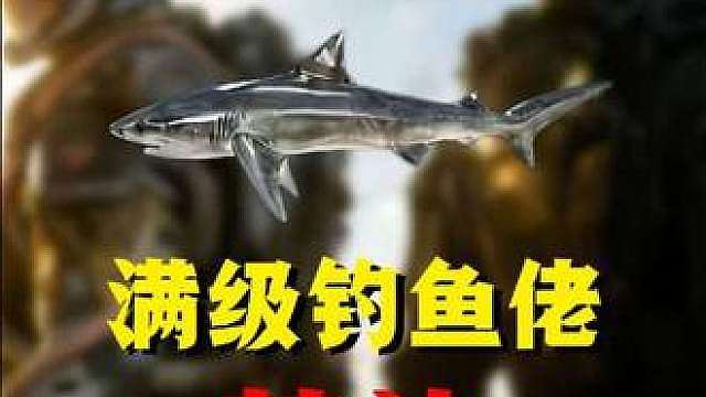 满级钓鱼佬焚决