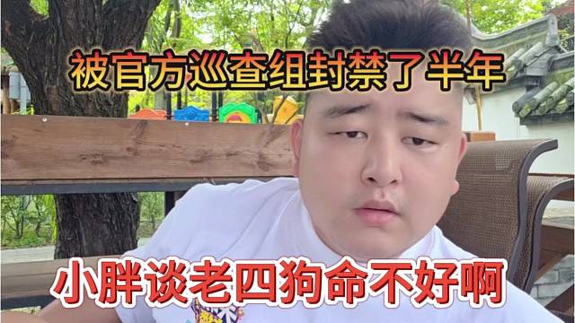 小胖谈老四狗命不好，被官方封禁了半年