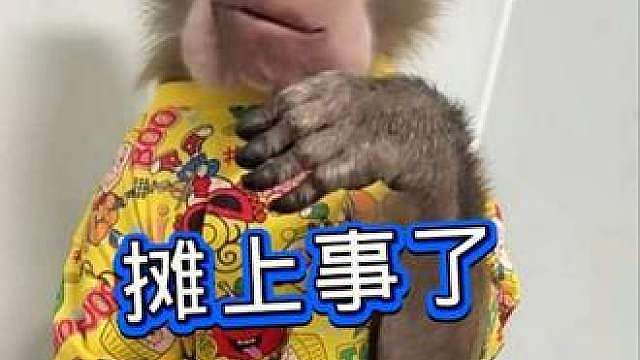 是个吃货 抢了一包花生米全塞嘴里了