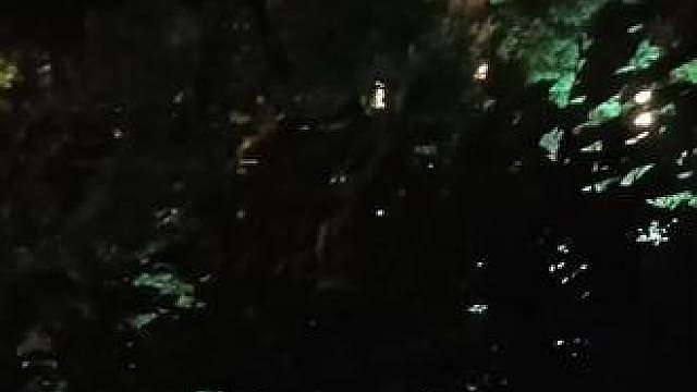 夜晚楼栋灯光没有秋天，快穿袄了