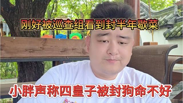 小胖声称四皇子被封是狗命不好，刚好被查封半年歇菜了