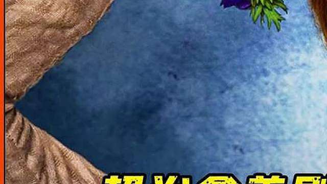 这部美剧真的很治愈。