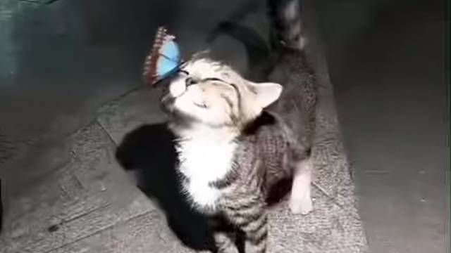 都会寂寞吧