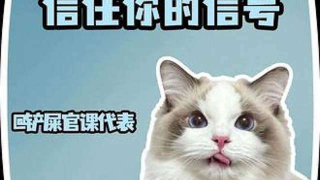 你家猫咪信任你的信号