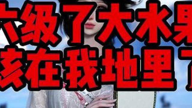 逆水寒菠萝农场