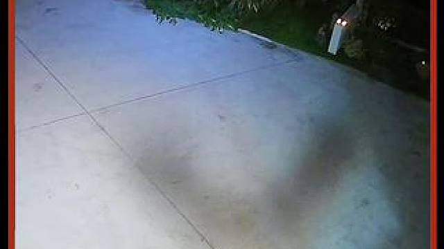 视频仅供娱乐