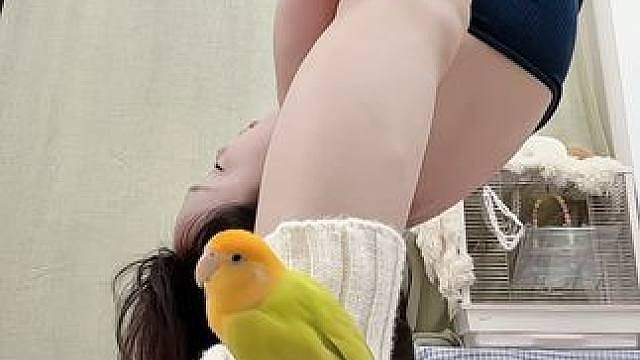 软开度