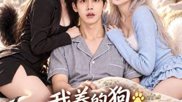 一觉醒来，我养了两年的小狗，居然变成了贴心女友