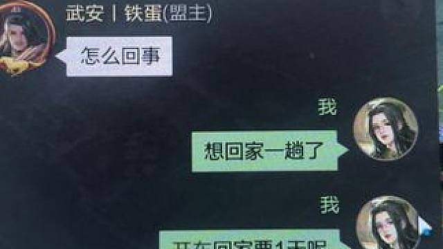 让我注意天上是什么意思 不好 是盟主的飞机来了 这下回家快了
