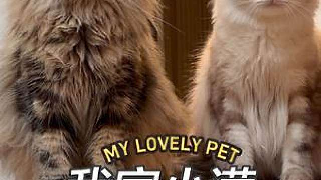 小老虎：和妈咪合影，显得我眼睛更小了，但很显瘦