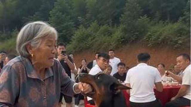 狗狗怎么突然间咬老奶奶了