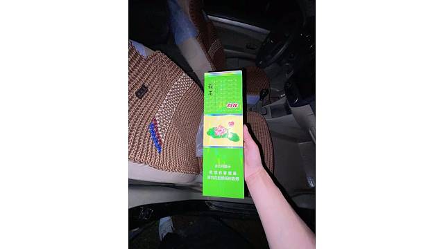 细柳扶风，几回眸舞尽痴人梦