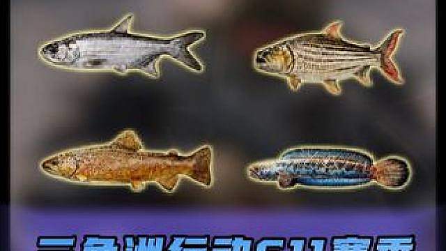 新赛季钓鱼系统攻略：从鱼竿获取到钓点技巧