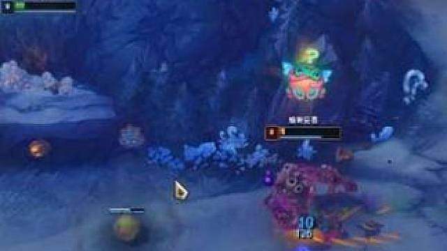 石头：我今天就是确定你在这个草里面