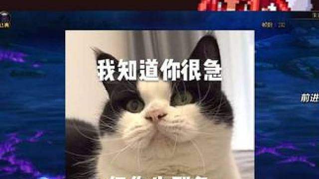 金秋拍卖行新增三大宠物，最后一个属性直接起飞！