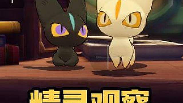 精灵观察：小黑猫和它的异色小暹罗。 #