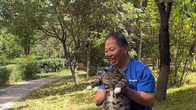 爱遛弯的大花卷