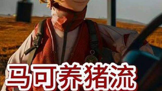 适合新手轻度刷牌的阵容，马可养猪流 新手刷牌很适合过渡的棋手 #