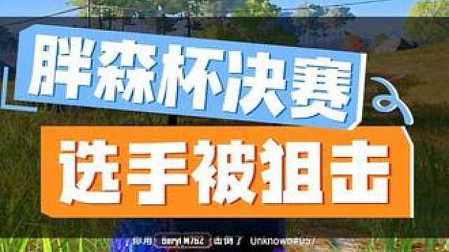 “王牌狙击手已经就位！！！”