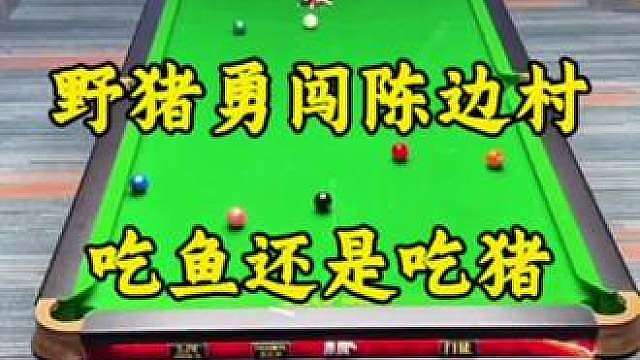 今晚究竟是吃鱼还是吃猪？野猪勇闯陈边村！