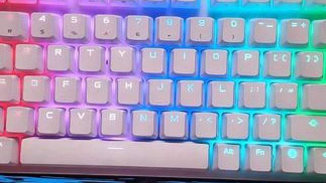 九冠王小蜜蜂战队都在使用的磁轴键盘
