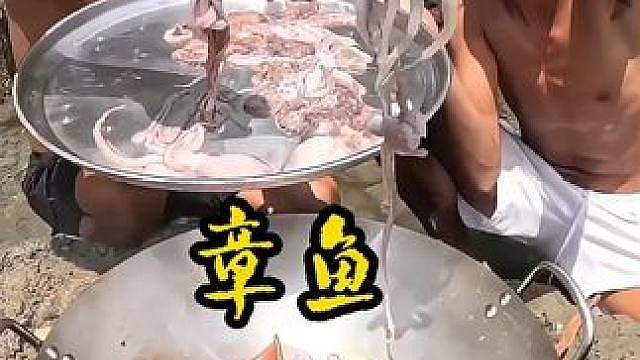 刚从滩涂抓来的章鱼，不杀不处理直接下锅烹饪吃