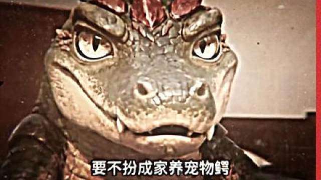 【飞升鳄鱼】混乱将随后而至，我要让世界分崩离析！