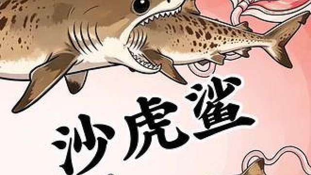 沙虎鲨: 比卷？我们在娘胎里就卷！