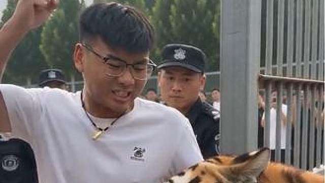 保佑老奶奶平安无事吧！