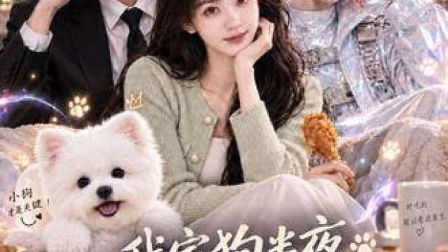 自制Ai短剧：我养的流浪狗，突然变帅哥了 狗变帅哥同居日记，他还保留着所有狗的习惯