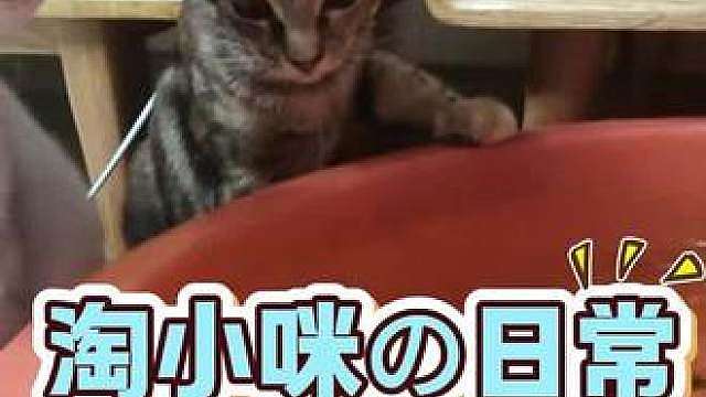 看到最后，抓没抓到？