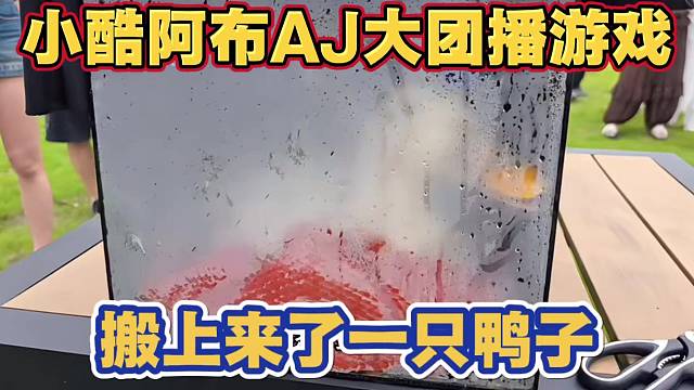小酷阿布AJ大团播游戏 策划搬上来一只鸭子 弹幕刷屏童锦程怎么也来了