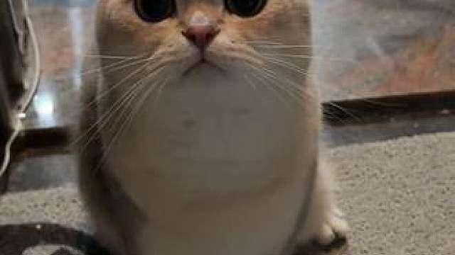 她是谁？？！