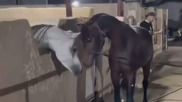 相了那么多次亲，没一个像样的