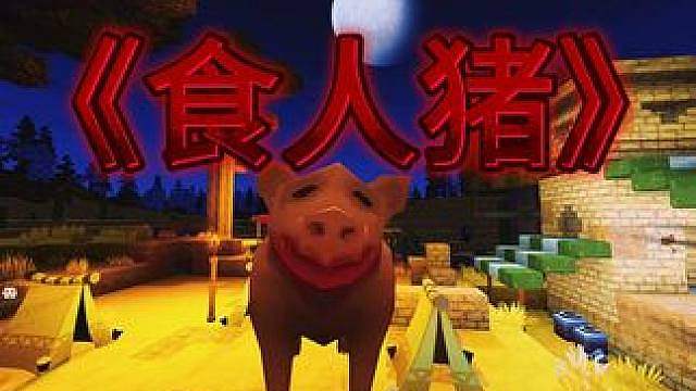 迷你世界都市传说：食人猪！