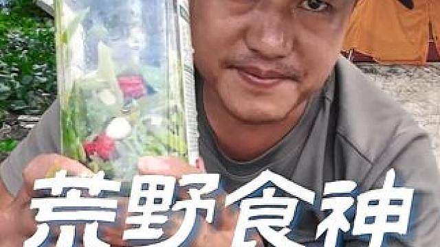 荒野食神海岛篇（6） 靠海巡海收获丰，制作酸刀豆，日暮收网，脆鱼 海味柠檬虾，又是被兄弟们害苦的一天