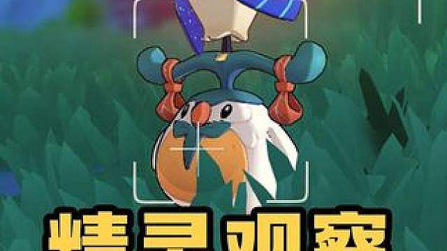 S4赛季精灵互动观察从观鸟开始！ 哎！是啥鸟！是浣蛋！